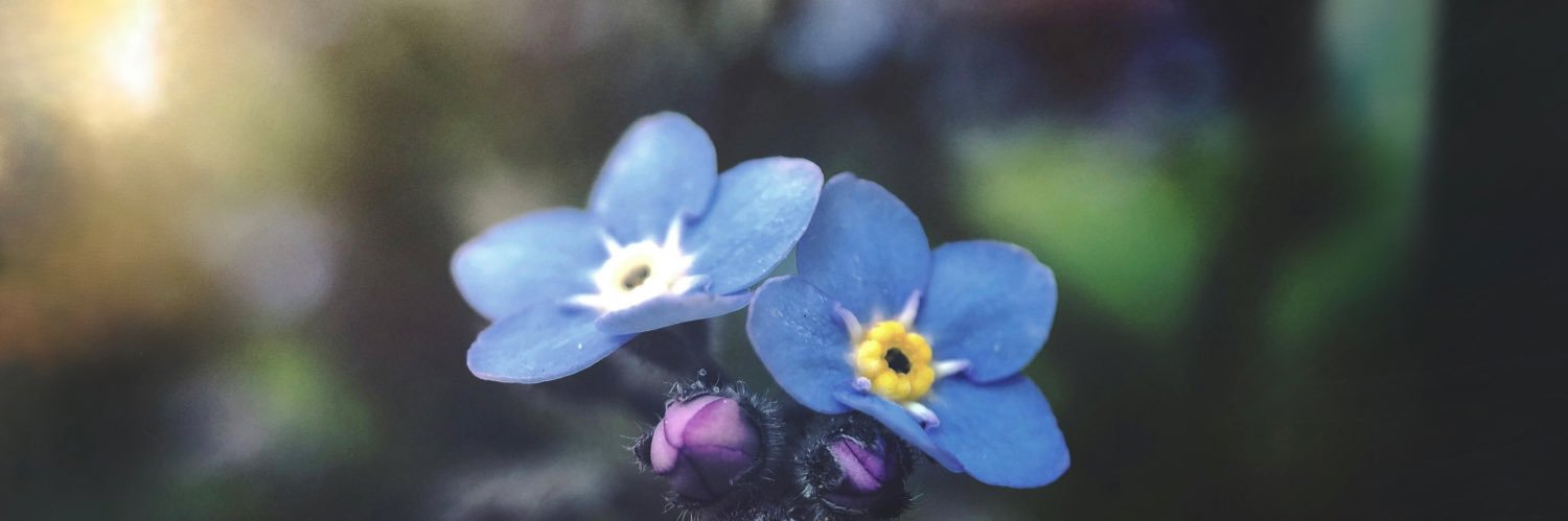 aklibasindaolan's profile banner image