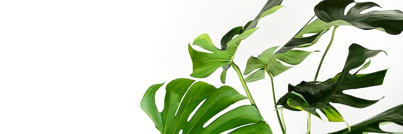 itsclairej's profile banner image