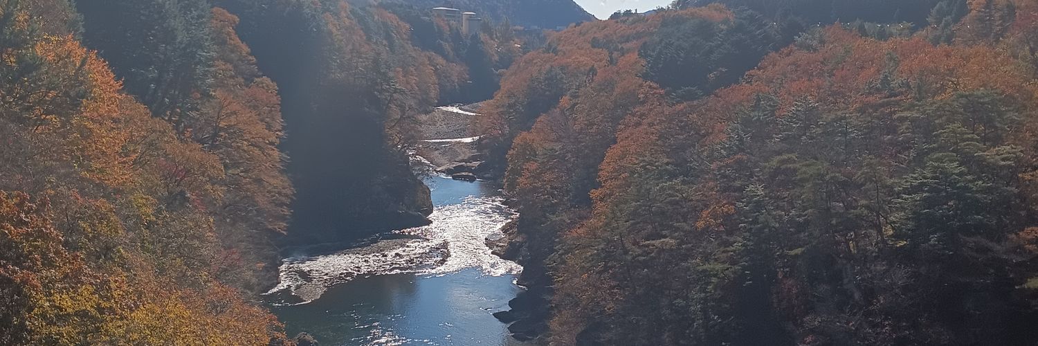 な banner