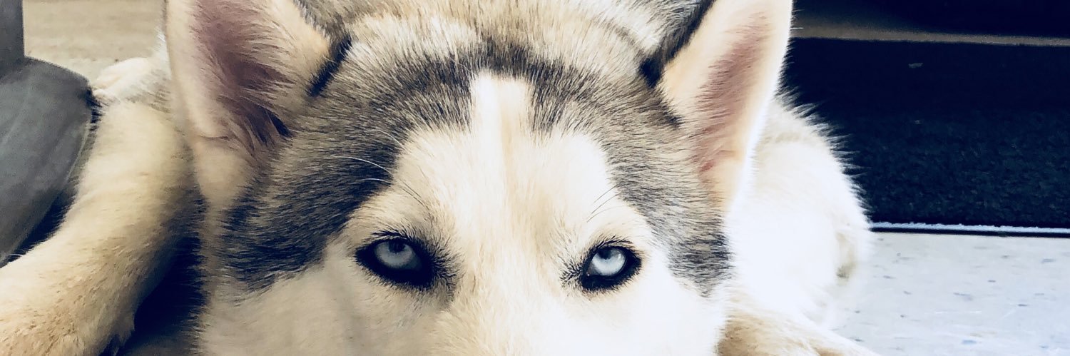 annapedroo's profile banner image