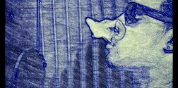 DuceCain's profile banner image
