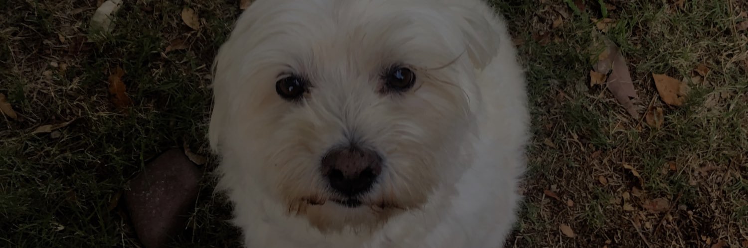 VirginiaBonizzi's profile banner image