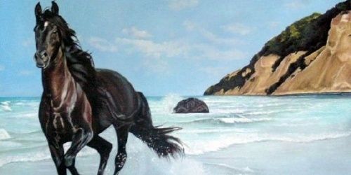 walghifary's profile banner image