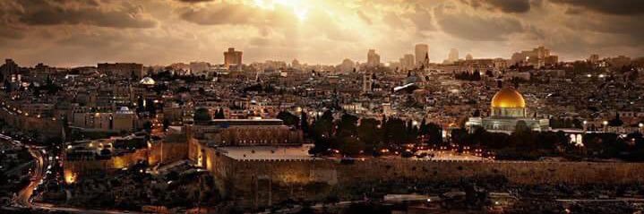abdlrhmnaref's profile banner image