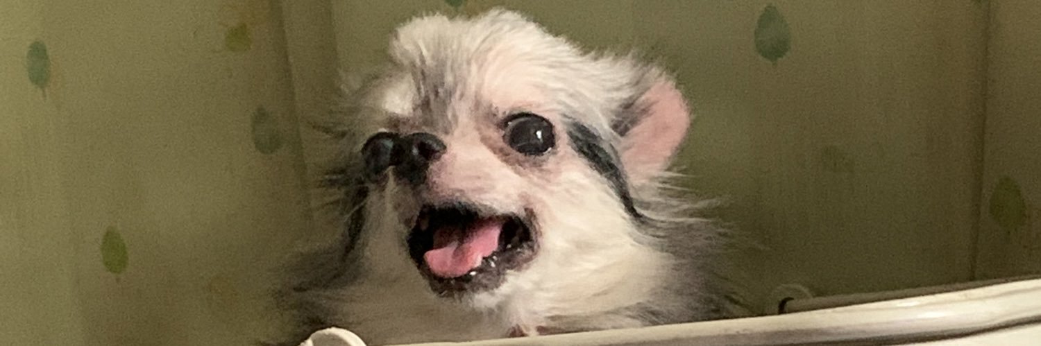 Franckx1209's profile banner image