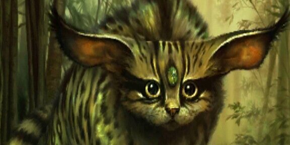 tester70's profile banner image