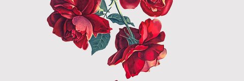 Karlathewanted1's profile banner image