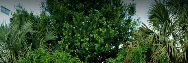 Malhas_an's profile banner image