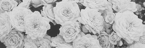 amariaguedes's profile banner image
