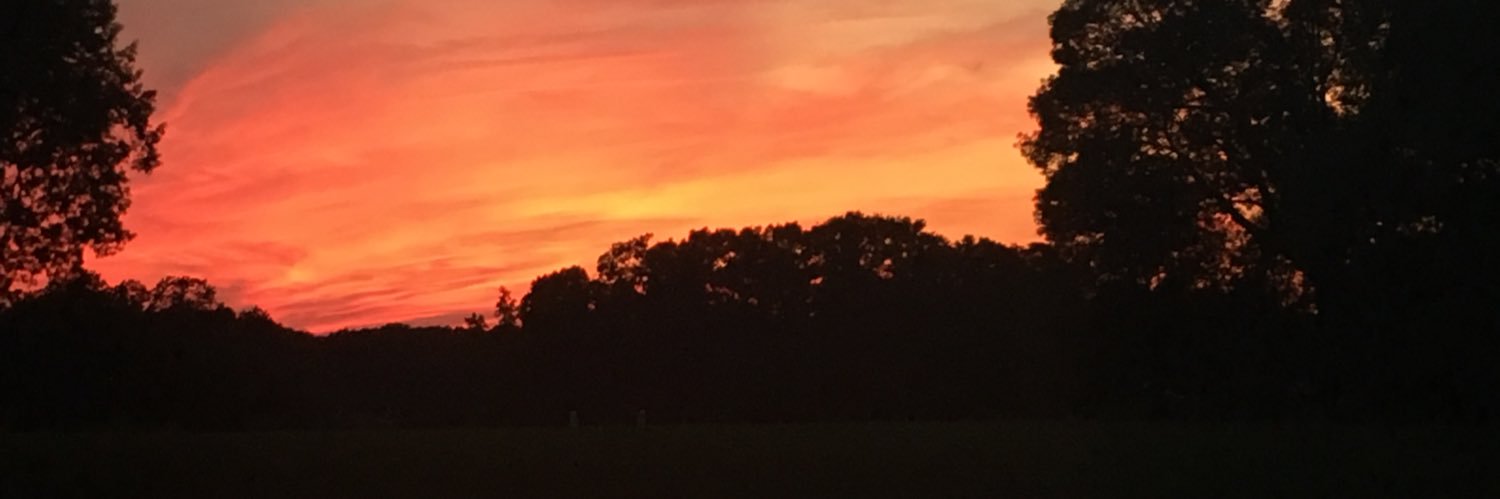MrsFerriell's profile banner image