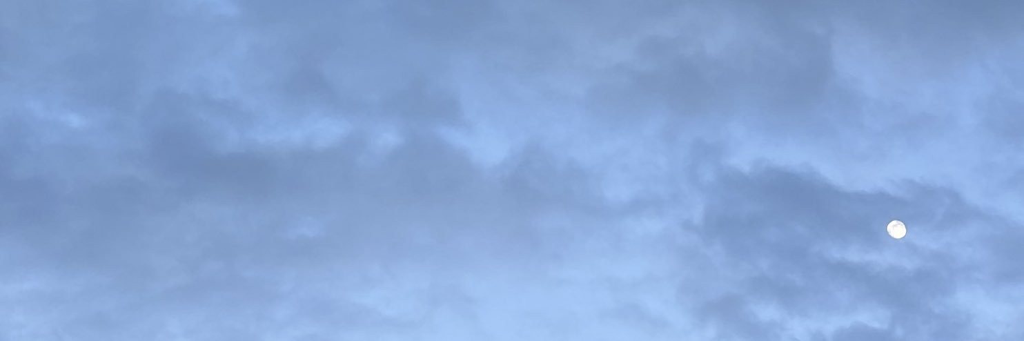 zhao725's profile banner image
