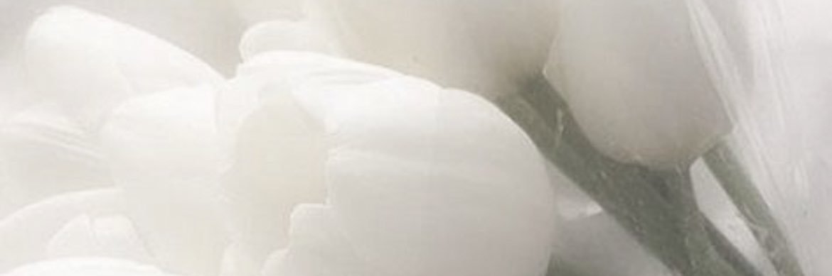 xllo_1o's profile banner image