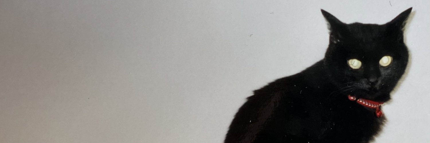 ygk0701's profile banner image