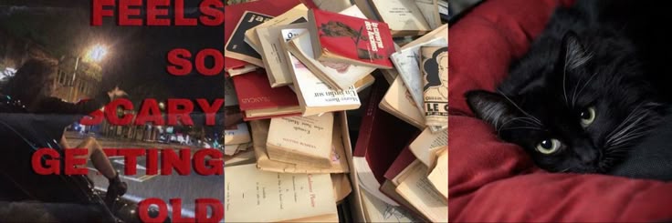 𝅄 ۪ ݁ Pye apple banner