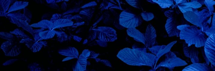 E_LilPrincess22's profile banner image