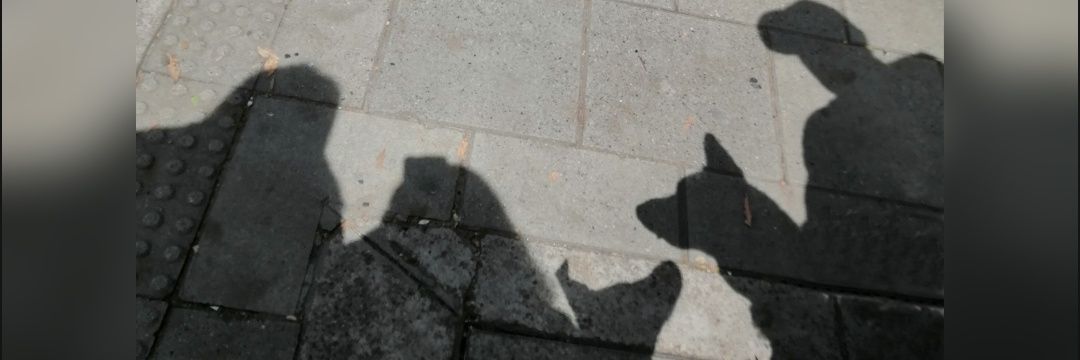 voidordetine's profile banner image