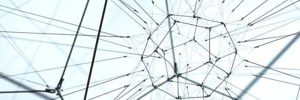 Bruno Panighel banner