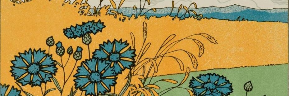 @walterolson.bsky.social banner