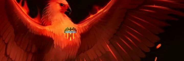 jomalu13's profile banner image