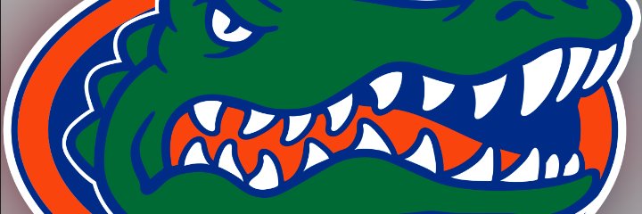 Danardo Blanco(352) banner