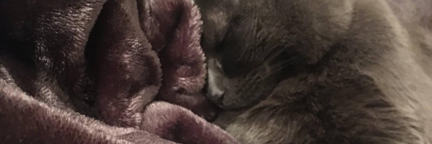 MarieTheLady's profile banner image