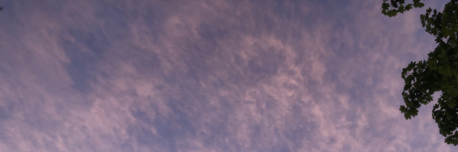 GraceParmeter's profile banner image
