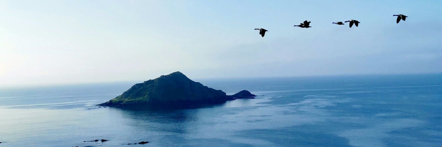 Phil Gallagher banner