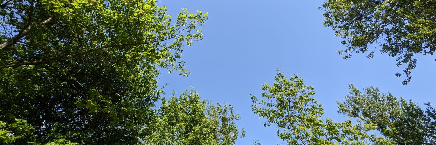 cryptovile's profile banner image