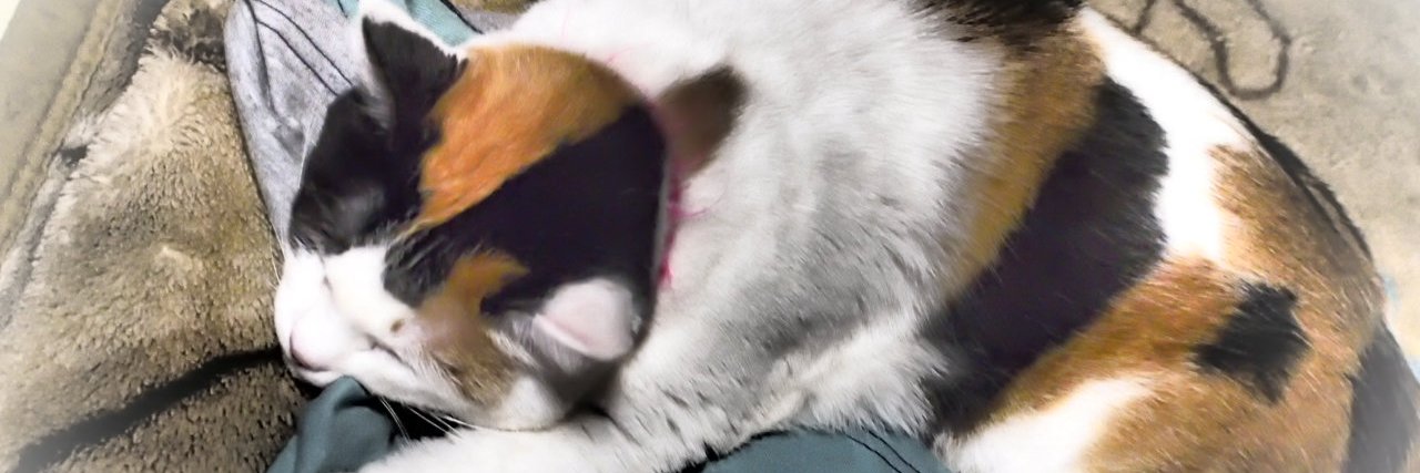contachi's profile banner image