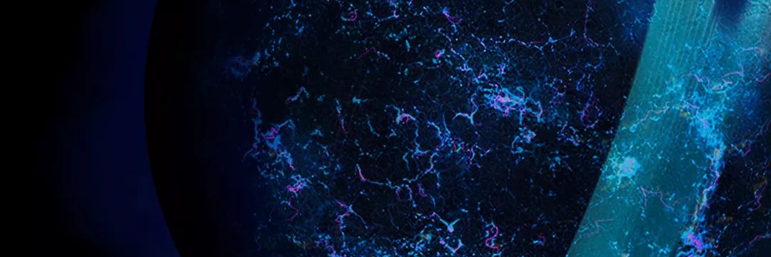 Albertman0's profile banner image