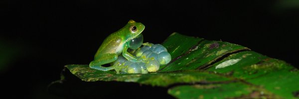 fvargas_salinas Profile Banner