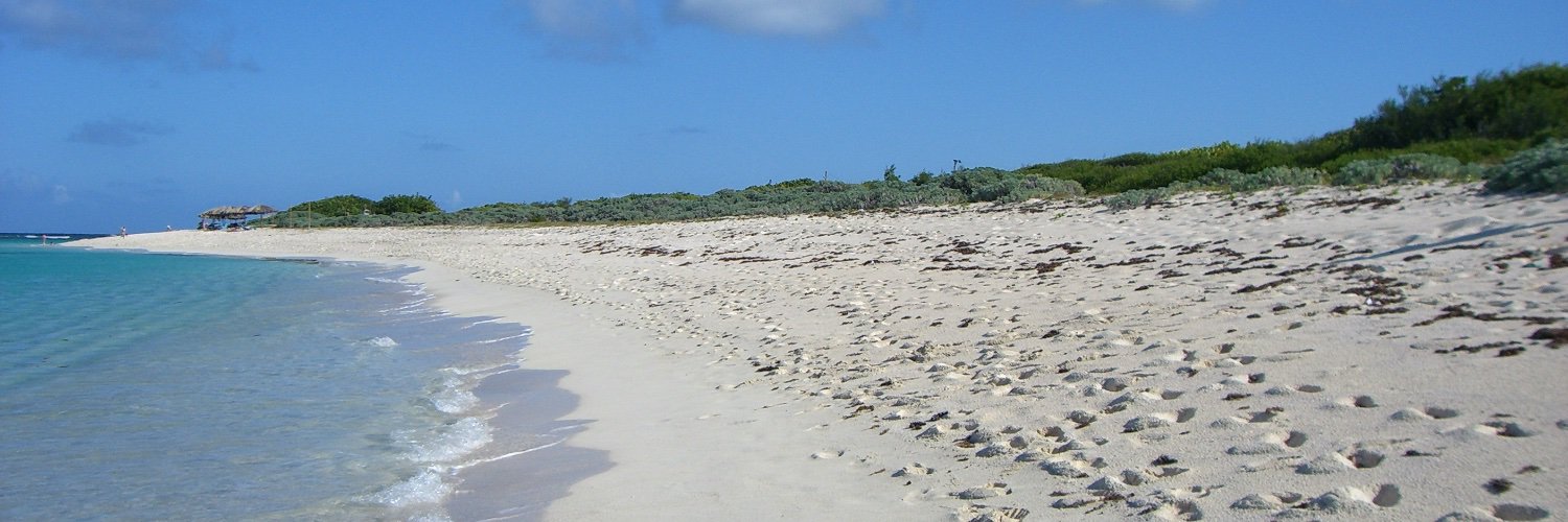 MGMollner's profile banner image