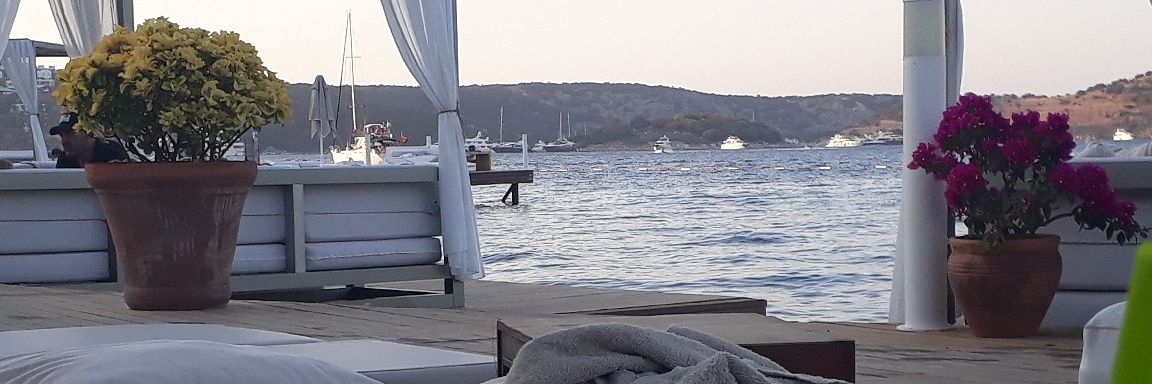 Serhat16341's profile banner image