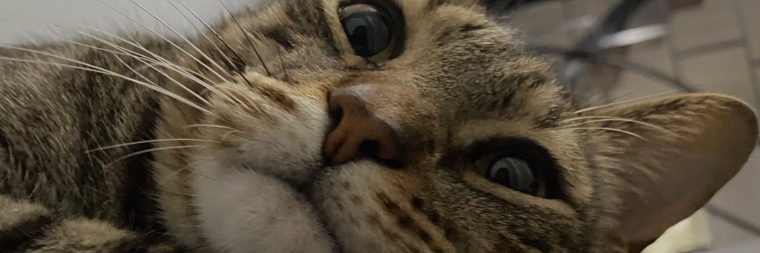 CamiiLugos's profile banner image