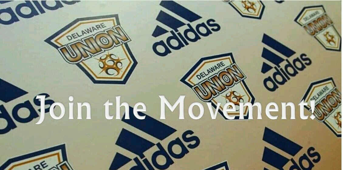 Delaware Union banner
