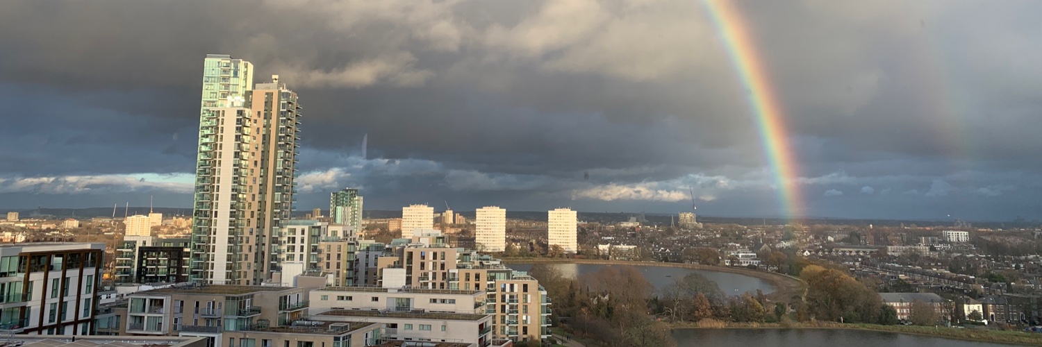 Woodberry Down Ward Councillors banner
