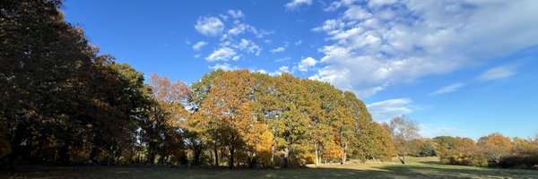 elie_tamer Profile Banner