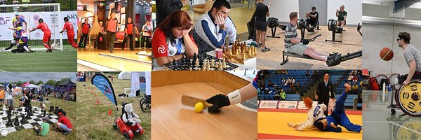 DisSportsNet Profile Banner