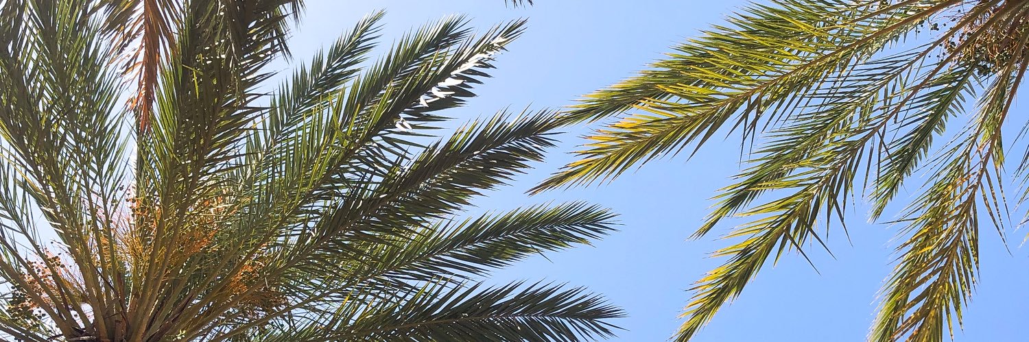 saravnl's profile banner image