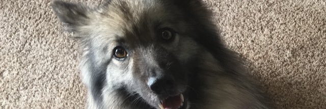 nseier11's profile banner image