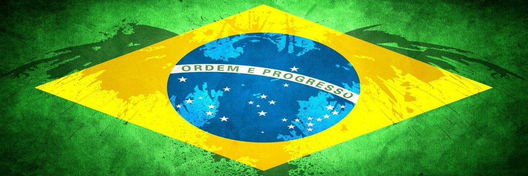 Patriota Voltou's banner