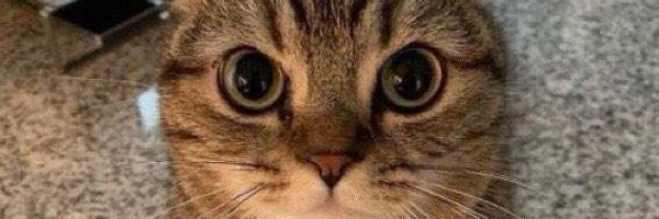 epic0D Profile Banner