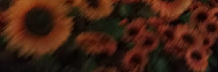 mar_kampee's profile banner image