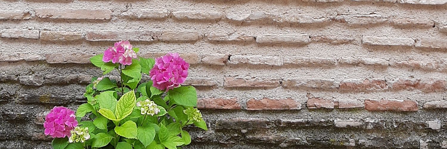 bundenn's profile banner image