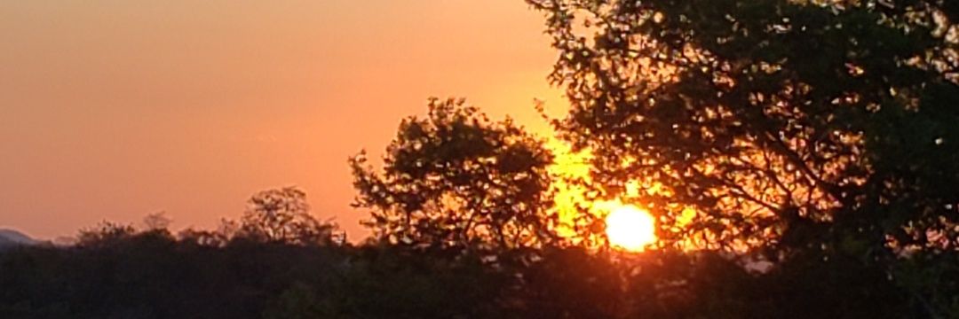 tmlyra's profile banner image