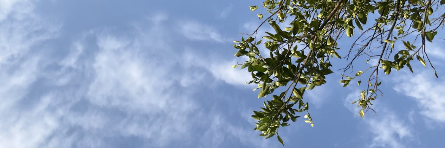 mayedurans's profile banner image