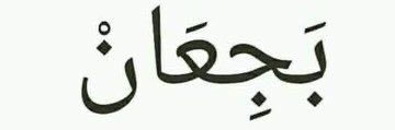 rezabarni's profile banner image
