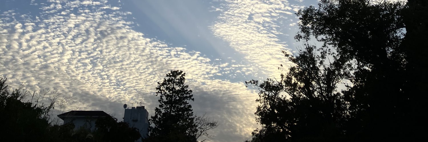 デオペン👾💤🍤🐶🎀☁️🦦💛🐺🍫 banner