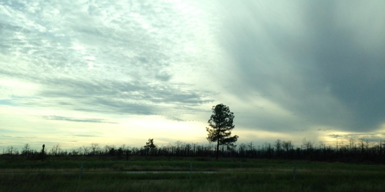 HaleyFollett's profile banner image