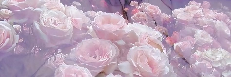 ︎︎추아🥀𝄞⸝⸝꙳ banner